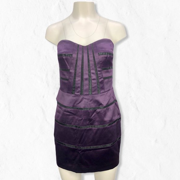 NWT BCBGeneration Violet Seamed Bustier Dress Sz 4 - Picture 1 of 11